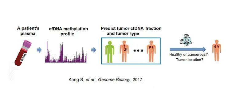 Graphic illustrating tumor cfDNA fraction and tumor type.