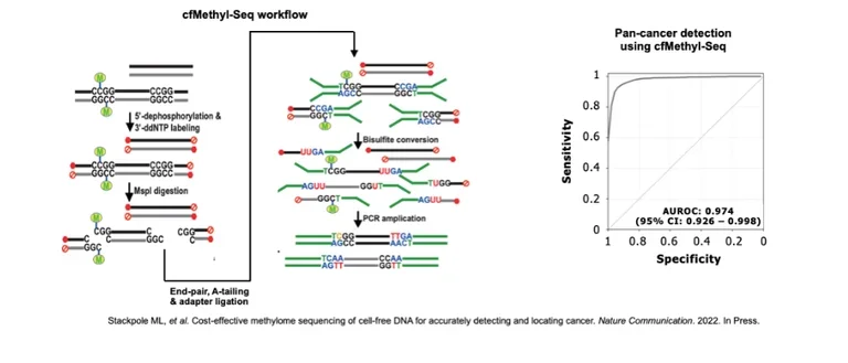 Workflow sequence of Methyl substance, using green, blue, and red representative symbols.
